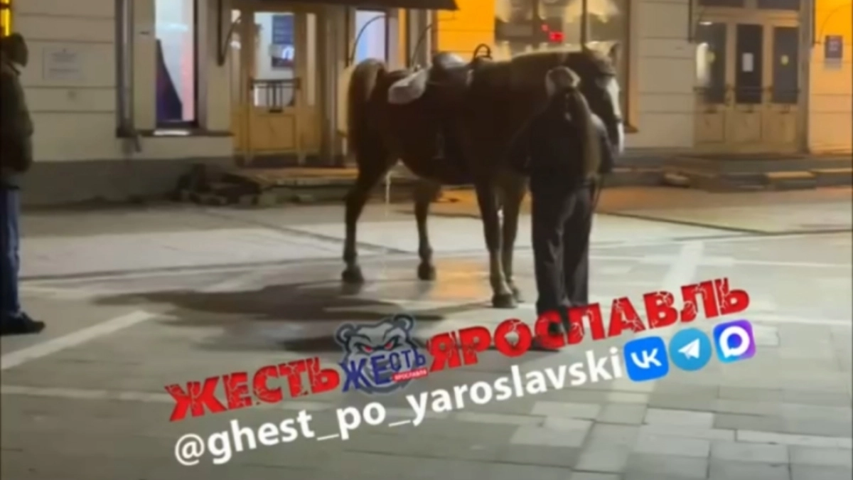 В центре Ярославля кони оставили отходы жизнедеятельности прямо под ногами туристов и местных
