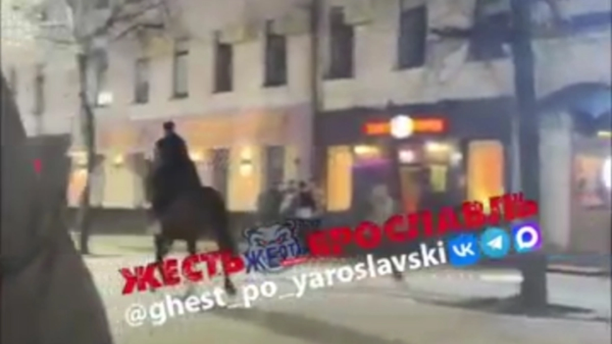 Конный выгул на улице Кирова в Ярославле закончится штрафами от мэрии