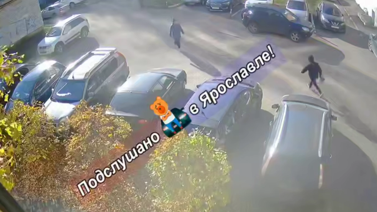 В Заволжском районе Ярославля у пенсионерки вырвали сумку из рук: молодой грабитель скрылся во дворах