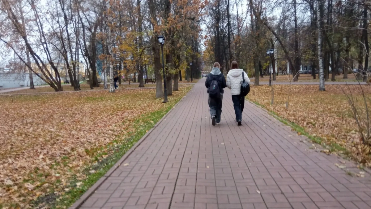 Плюс одиннадцать и солнце: в Ярославле конец октября удивит нетипичным теплом