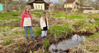 Получившая землю на болоте мать обратилась к Путину 
