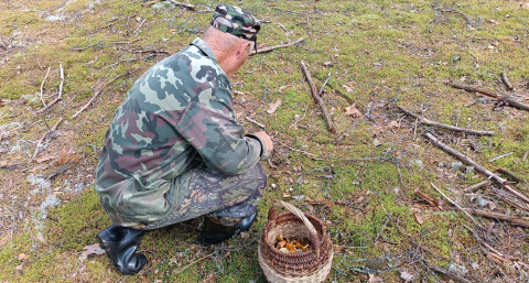 Два негра и девушка порно видео