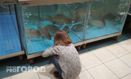 Селедка под шубой стала деликатесом: в Ярославле подорожала новогодняя рыба