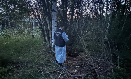 Главу Борисоглебского района признали виновной в гибели мальчика