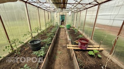 Забудьте про перекопку: агрономы взбешены, но этот метод из СССР в 3 раза поднимает урожайность без грядок