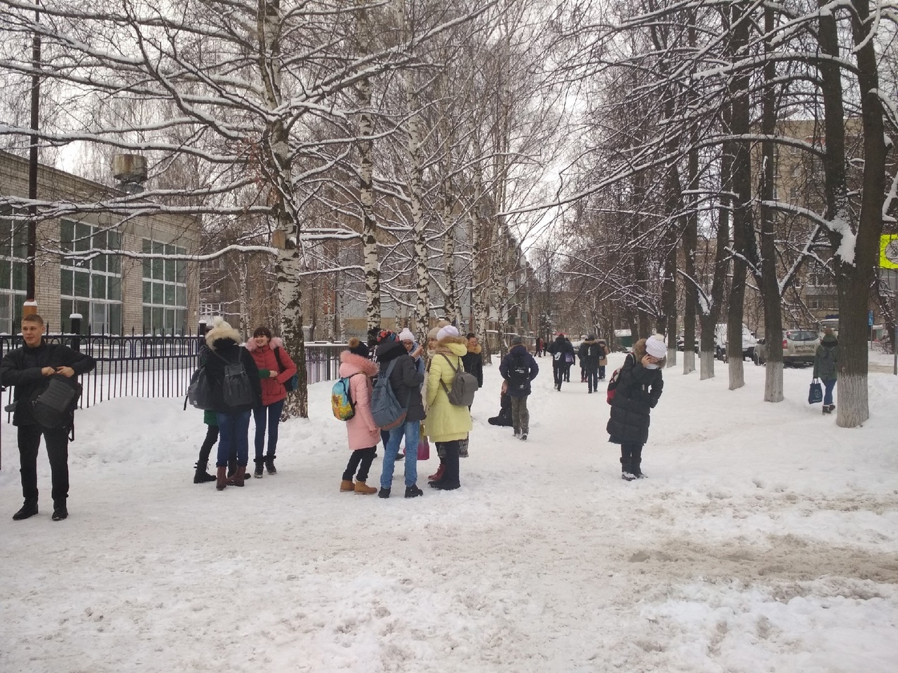 Отменят ли елки в школах и детсадах Ярославля, рассказали власти