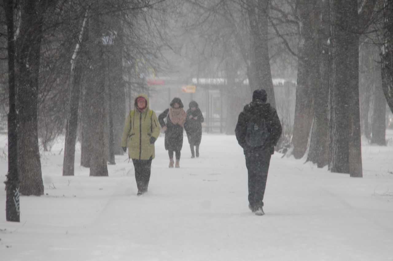 Аномальный холод обрушится на Ярославскую область 