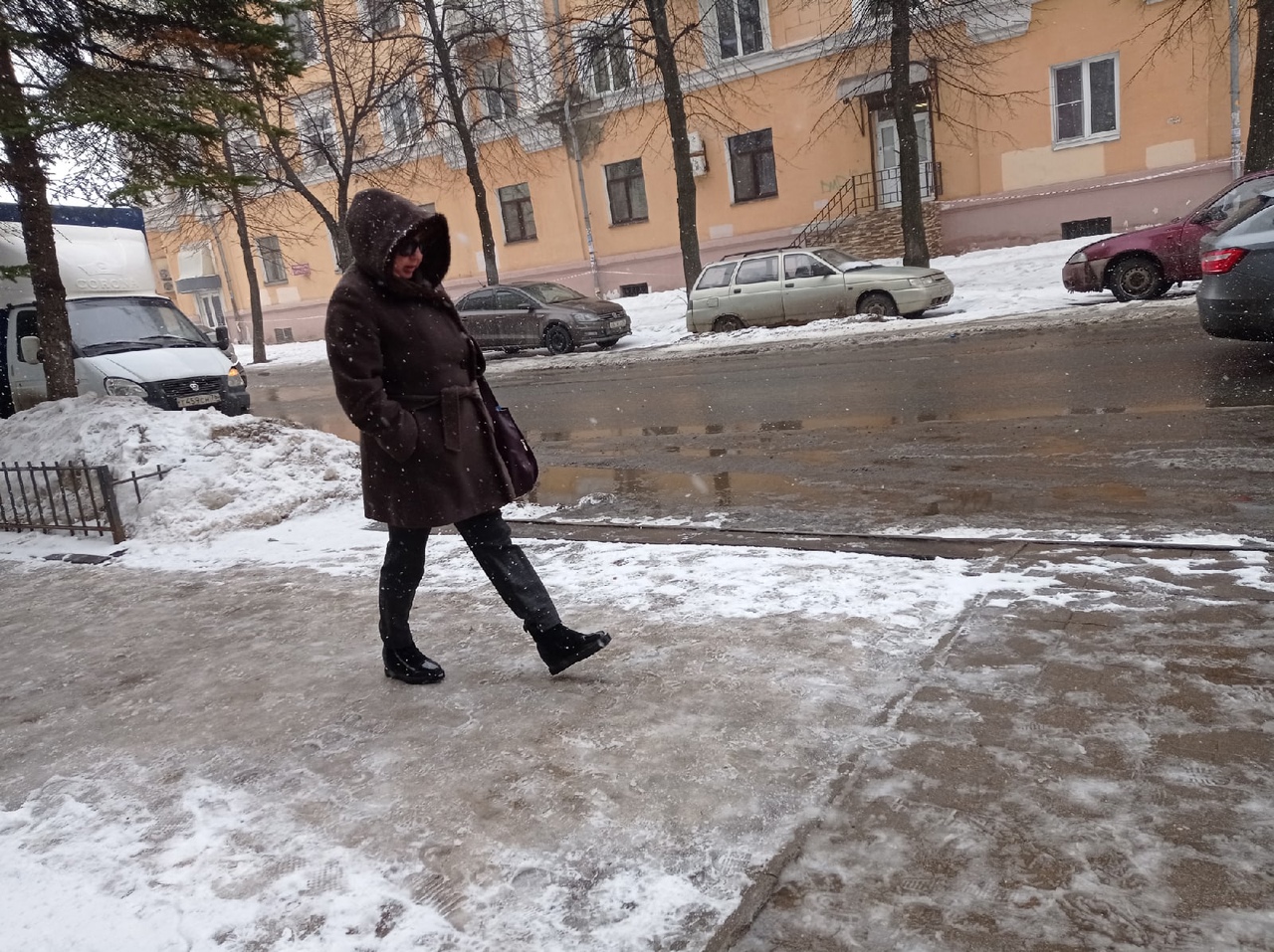 Проливные дожди обрушатся на Ярославль в конце января