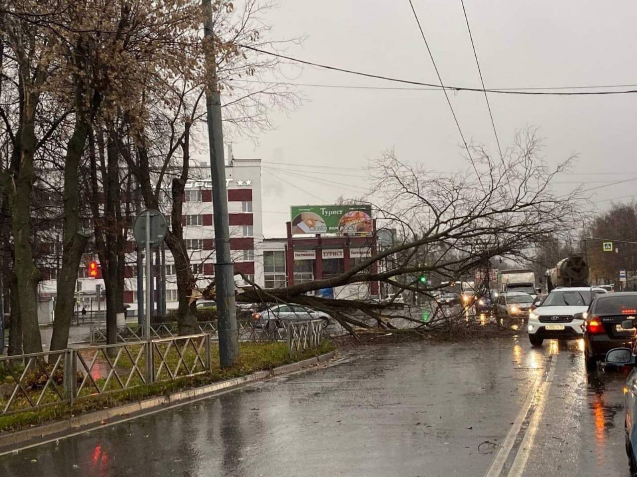 "С пассажирами на газон": В Ярославле ураган повалил деревья