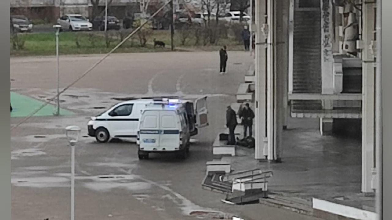 Лежал в мешке: труп у ТЮЗа вызвал ажиотаж среди ярославцев