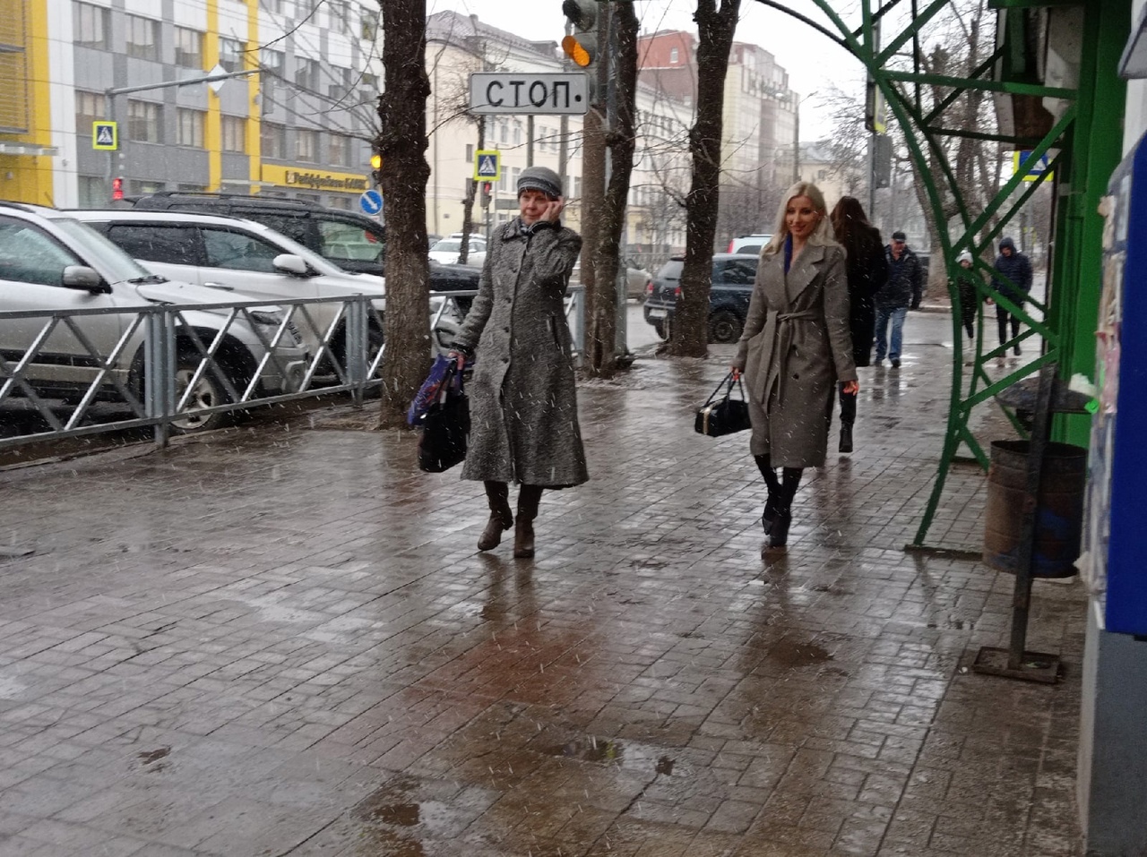 Дождь и мокрый снег: когда ждать ухудшения погоды в Ярославле