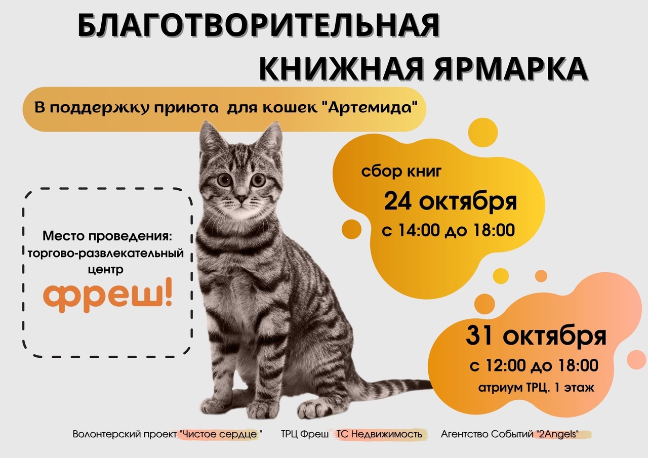 В Ярославле пройдет книжная ярмарка для спасения кошек