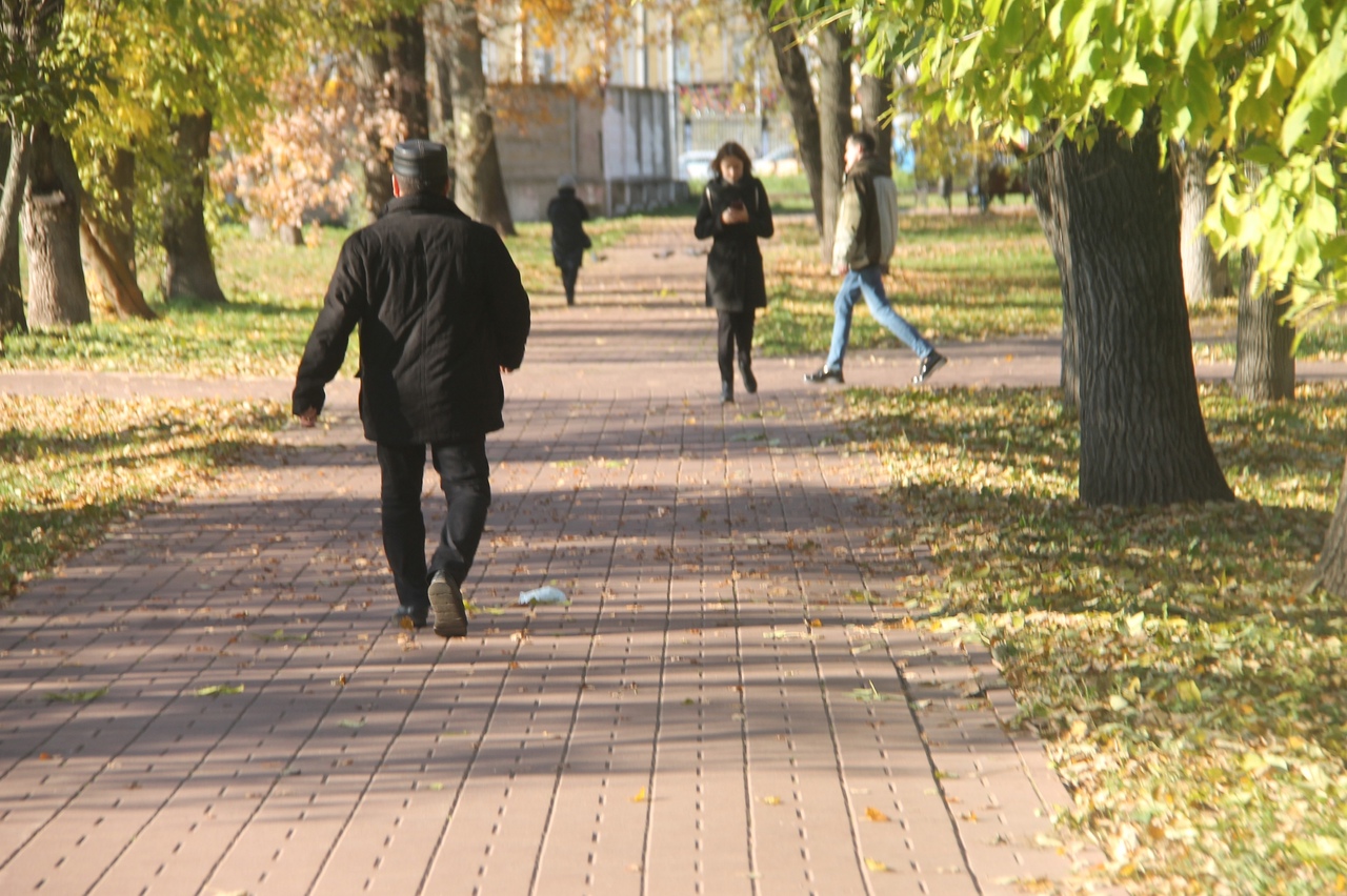 «Субтропическое тепло»: какие погодные аномалии ждут ярославцев в конце осени 