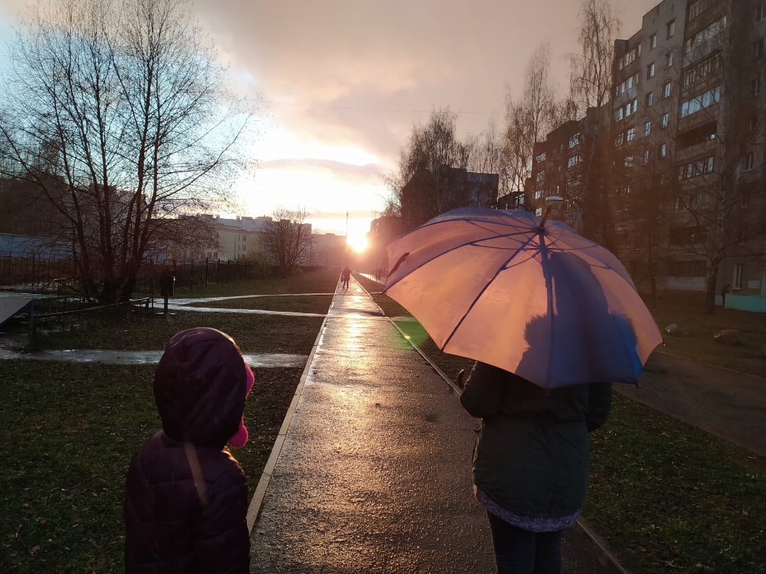 Затяжные дожди и мокрый снег: в Ярославле заканчивается бабье лето