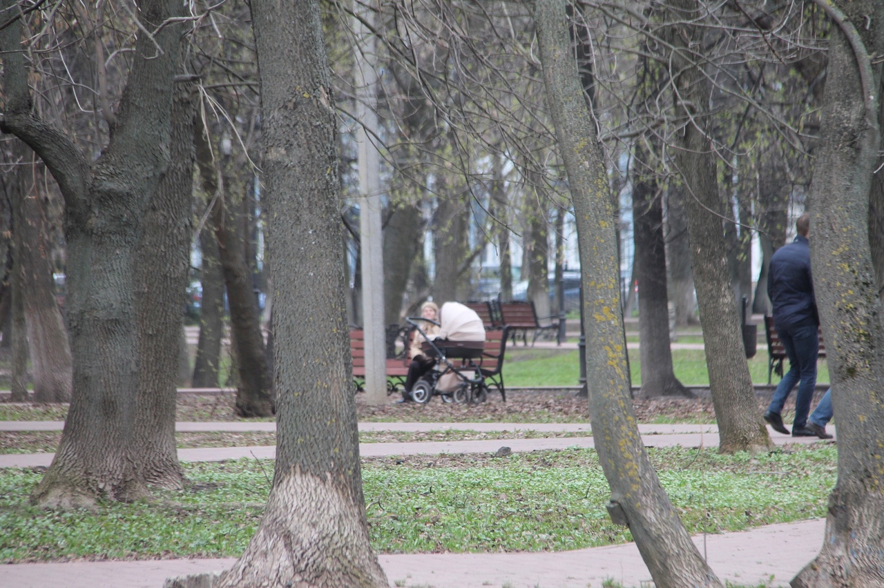 Пара из Ярославля судится с суррогатной матерью из-за катания на лошади