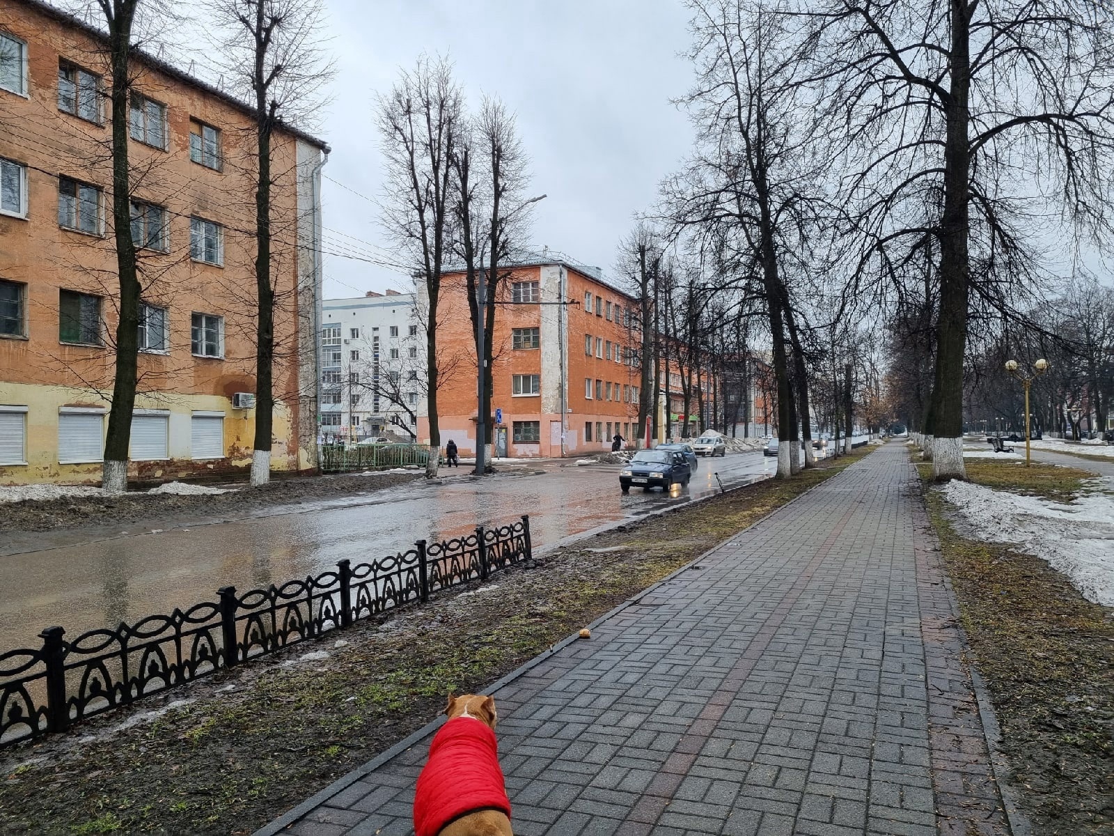  Приехал утром и погрузил в Ладу: поймали похитителя чугунного забора в центре Ярославля 