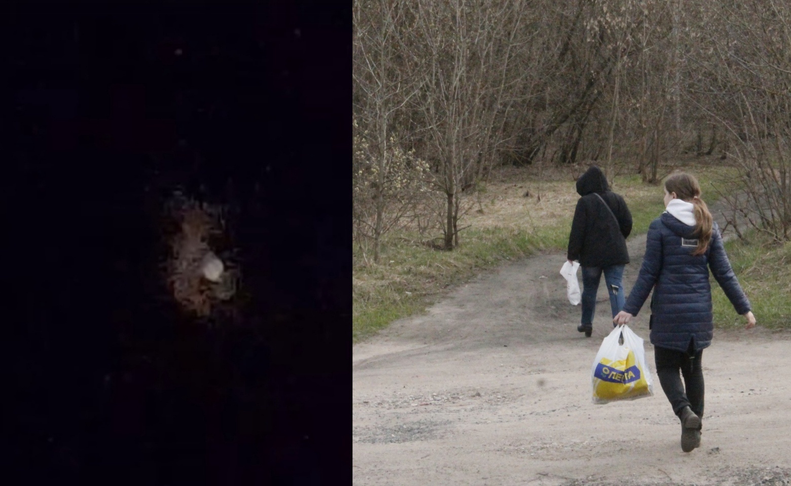  Жители Углича приняли запуск ракеты за метеорит 