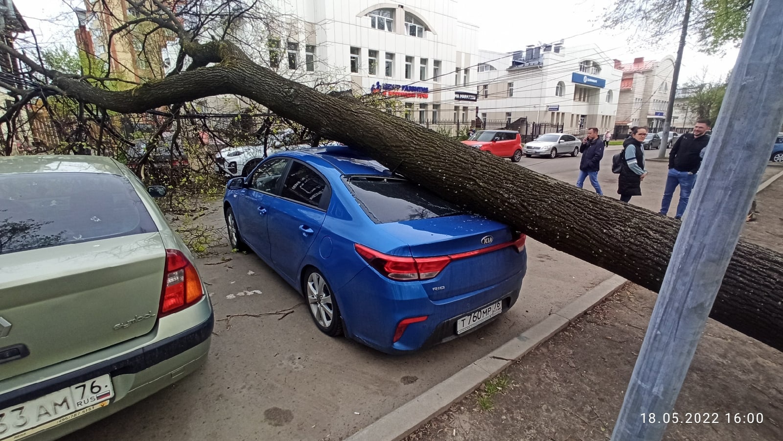  Упавшее в центре Ярославля дерево перекрыло дорогу и помяло машины