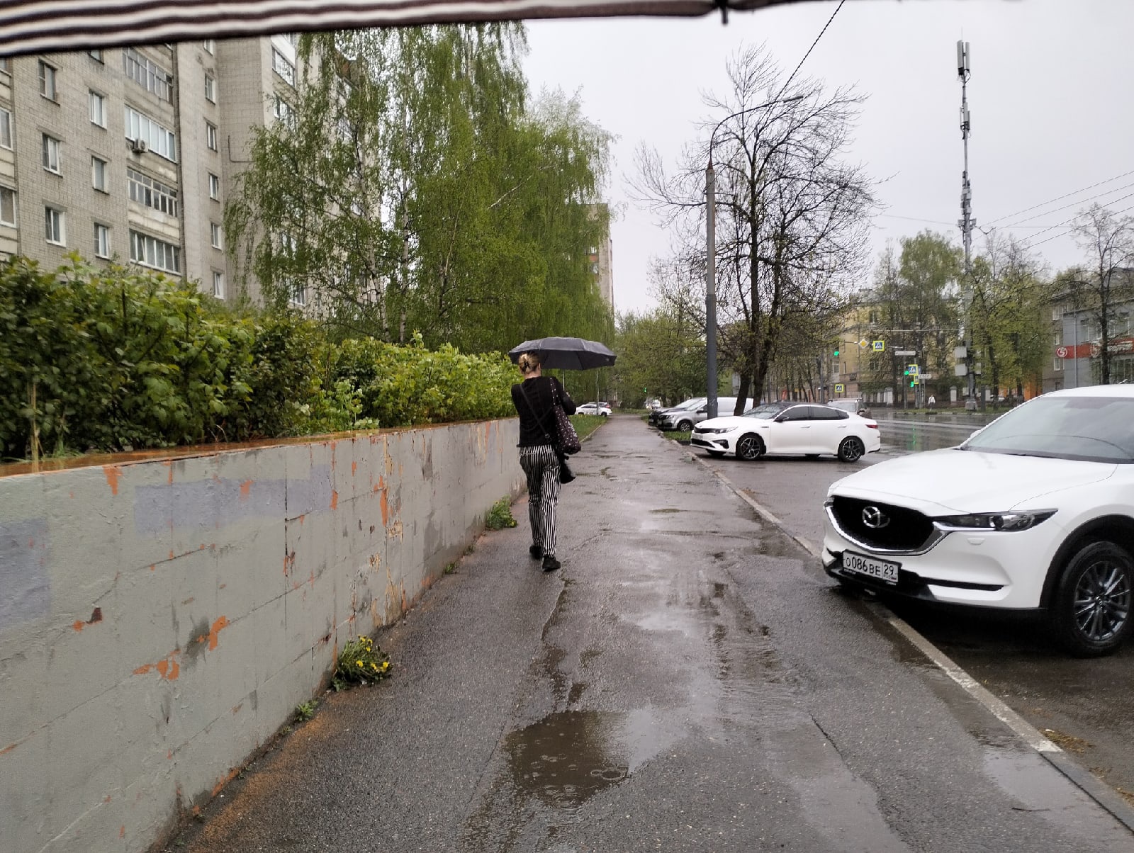 В последнюю неделю мая ярославцам пообещали дожди и холод