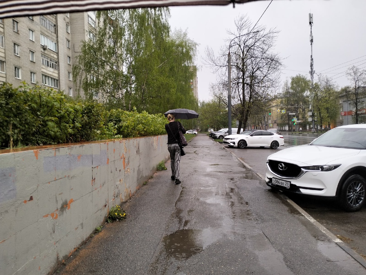 Ярославцев предупредили в МЧС о резком ухудшении погоды