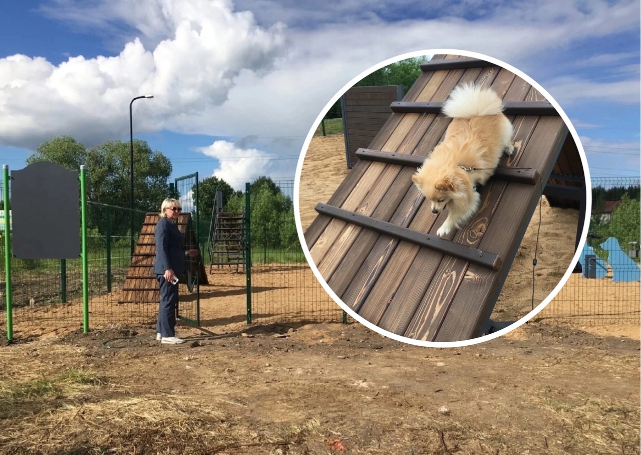 В спальных районах Ярославля появятся новые площадки для собак