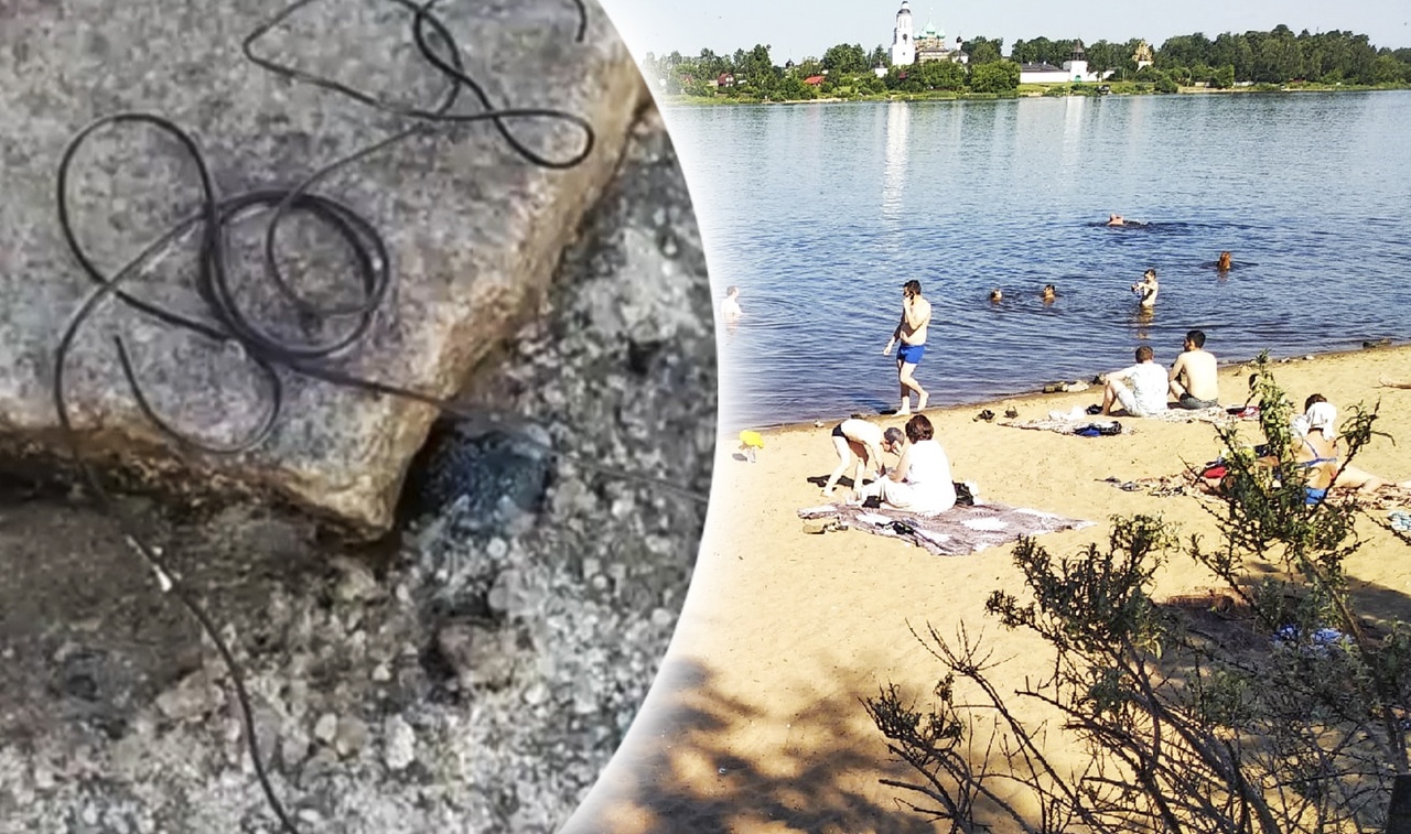 Двухметровых паразитов нашли в реке Ярославской области