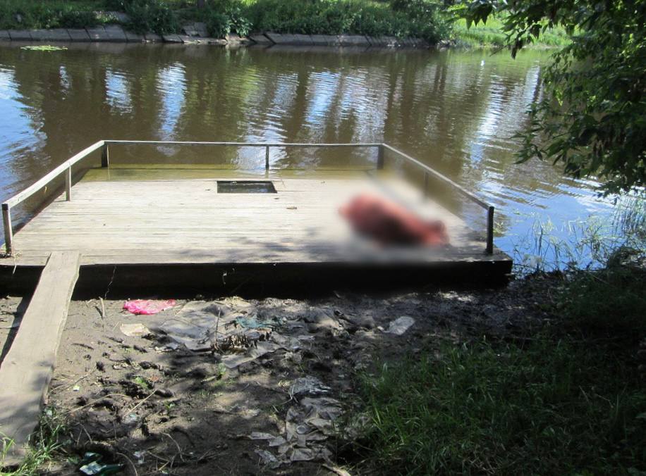 В Ярославской области в реке обнаружили неопознанный труп