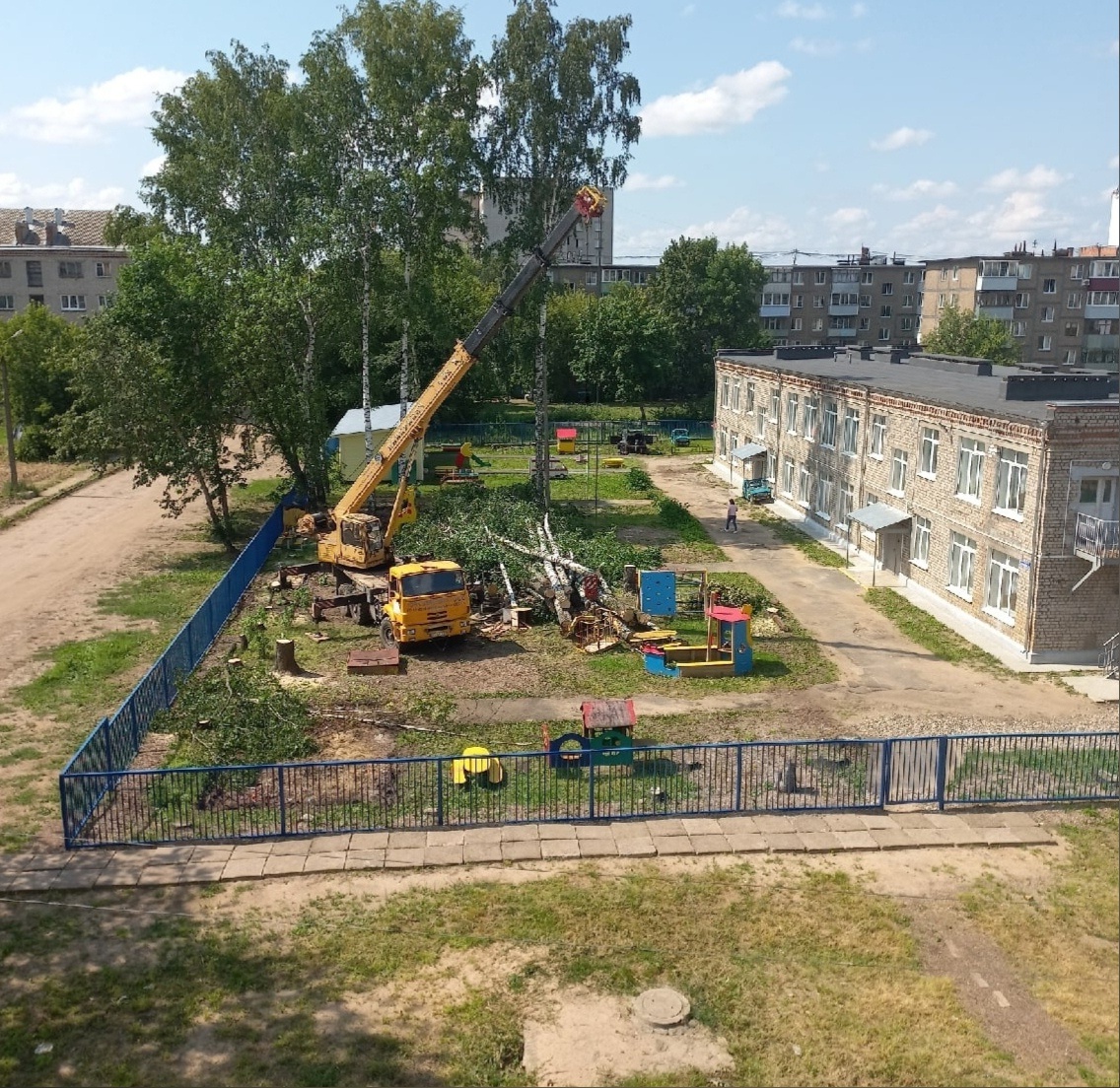 "Мы против": жители ярославской области не хотят вырубки деревьев на дворе детского сада
