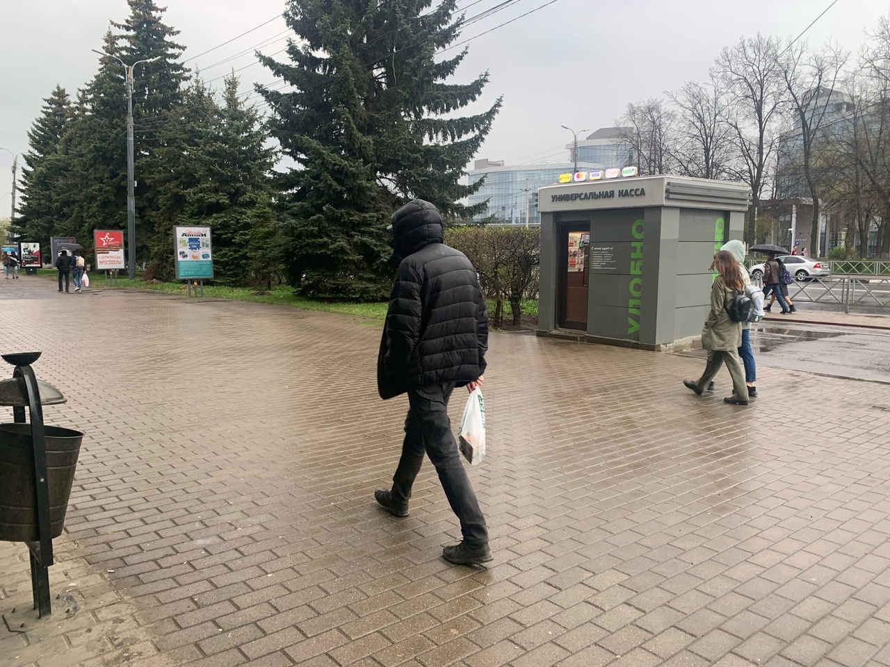 Холод жуткий: назвали дату прихода осенних заморозков в Ярославль 