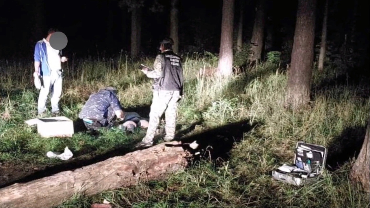 Жестокое убийство произошло в лесу Ярославля