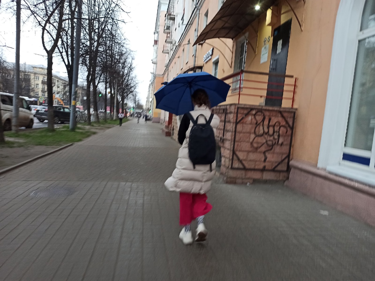 Промозглые дожди и заморозки на неделю ворвутся в Ярославль