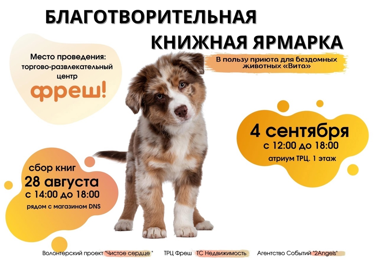 В Ярославле продают книги ради спасения бездомных животных