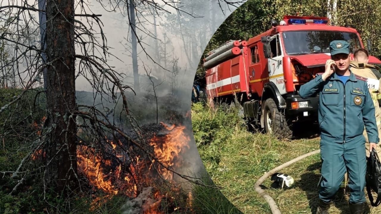 В Ярославской области камеры помогли потушить обширные лесные пожары