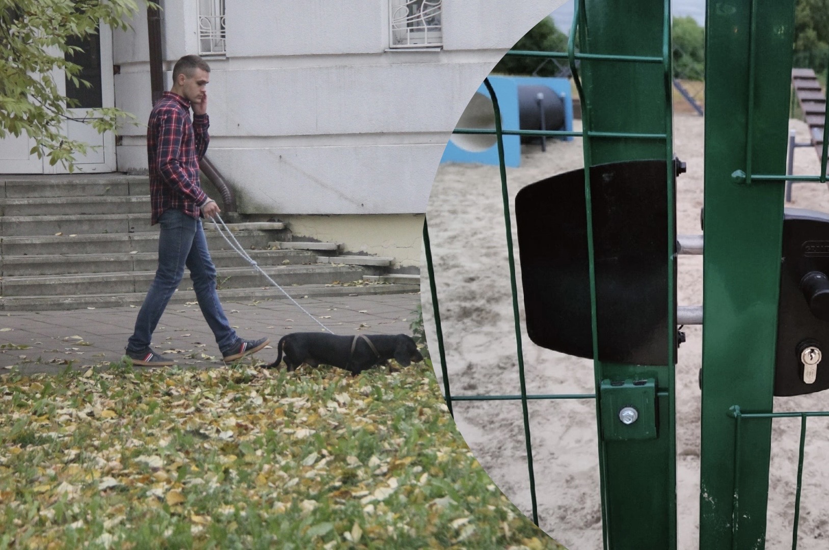 Хозяева собак в Ярославле не могут попасть на площадки для выгула животных