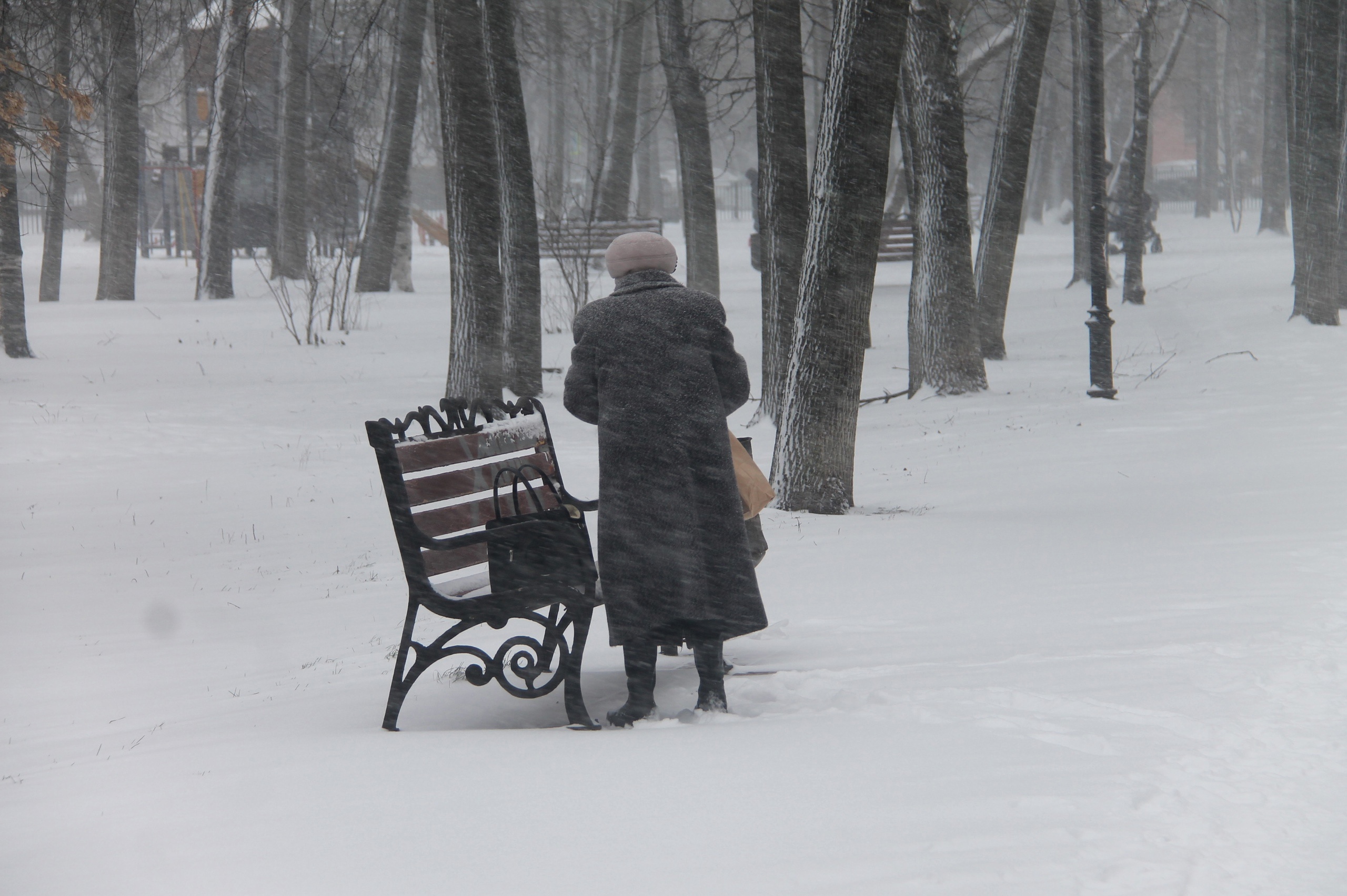 Ярославцев ждет резкое похолодание и снег