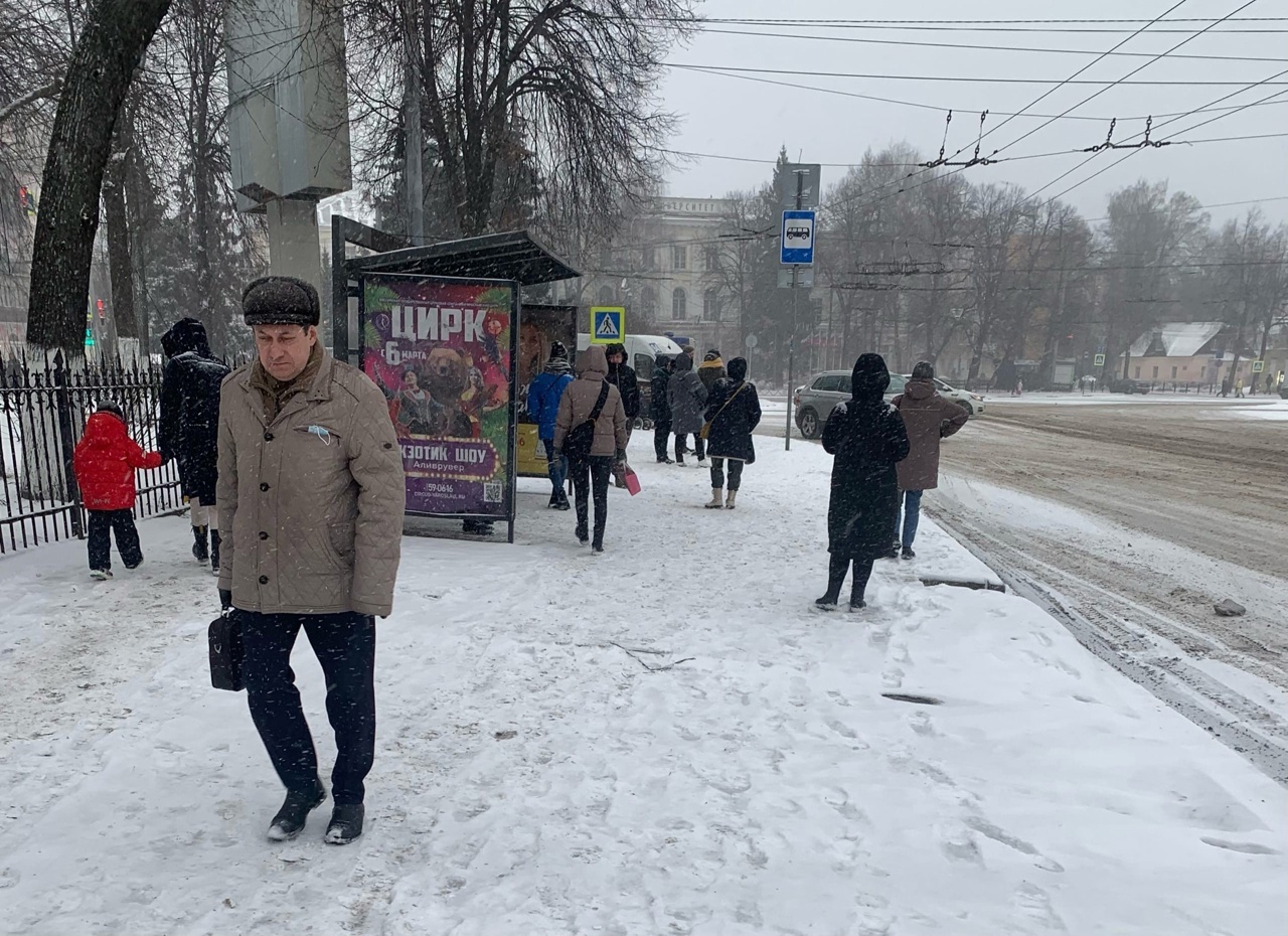 "Сумасшедшую" погоду на ноябрь и декабрь спрогнозировали в Ярославле синоптики