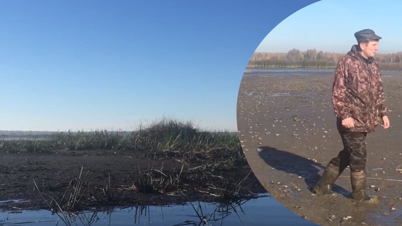 "Рыба высыхает": ярославцы требуют предотвратить экологическую катастрофу на озере