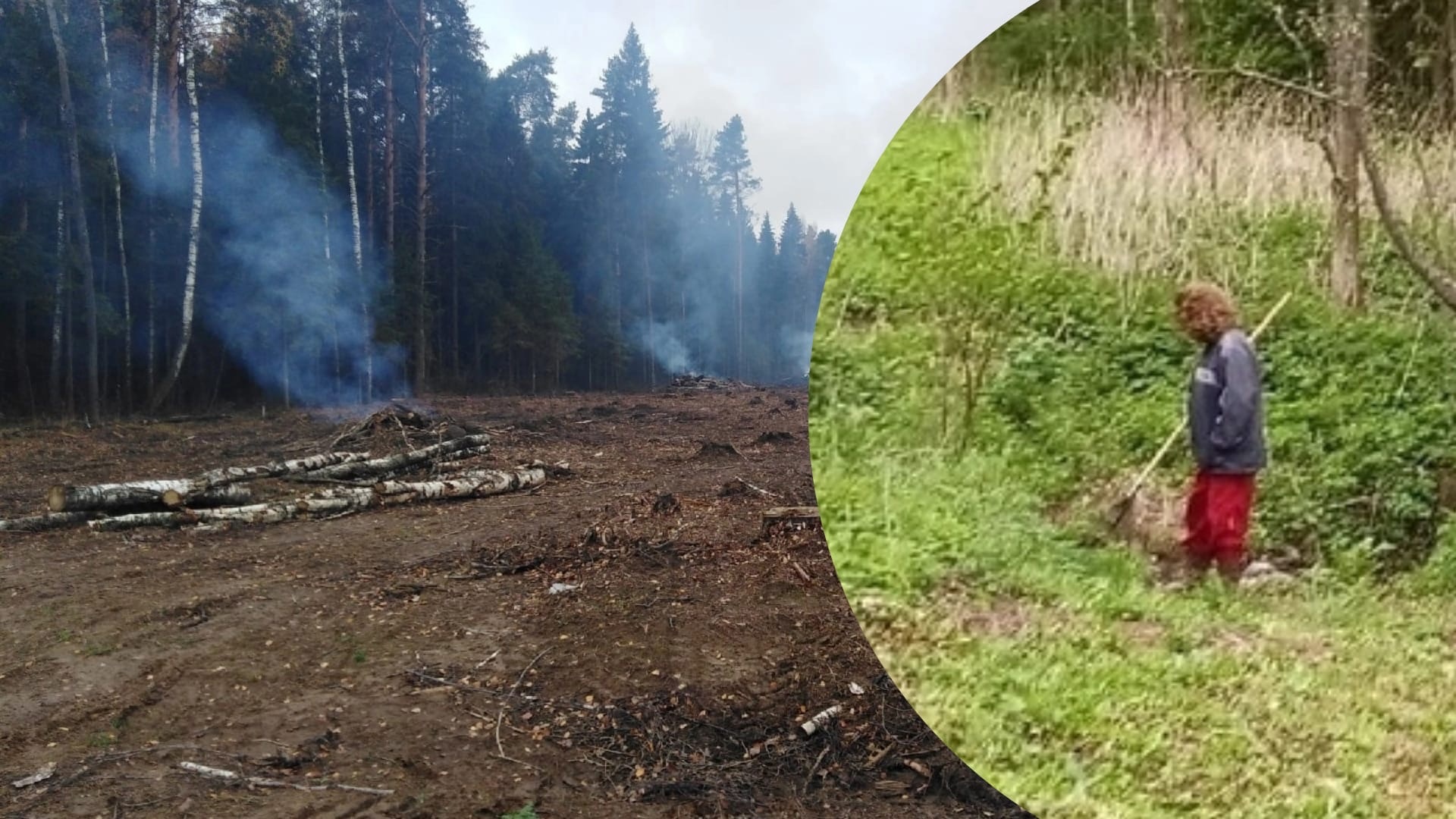 "Экологическая катастрофа": в Ярославской области люди жалуются, что нечем дышать