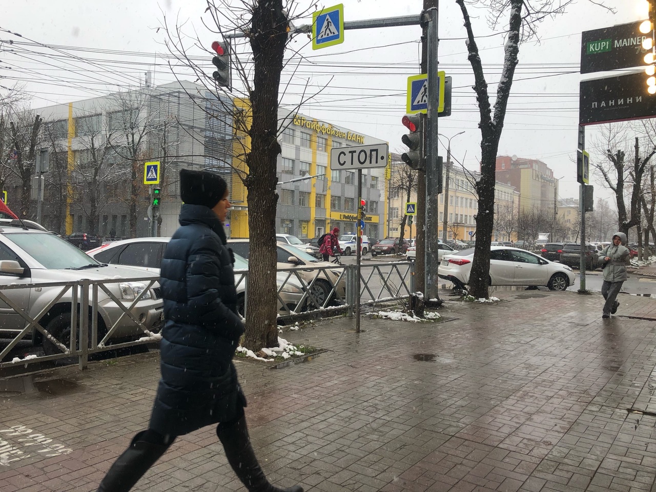 "Заморозки будут усиливаться": на Ярославль надвигается ледяной циклон 