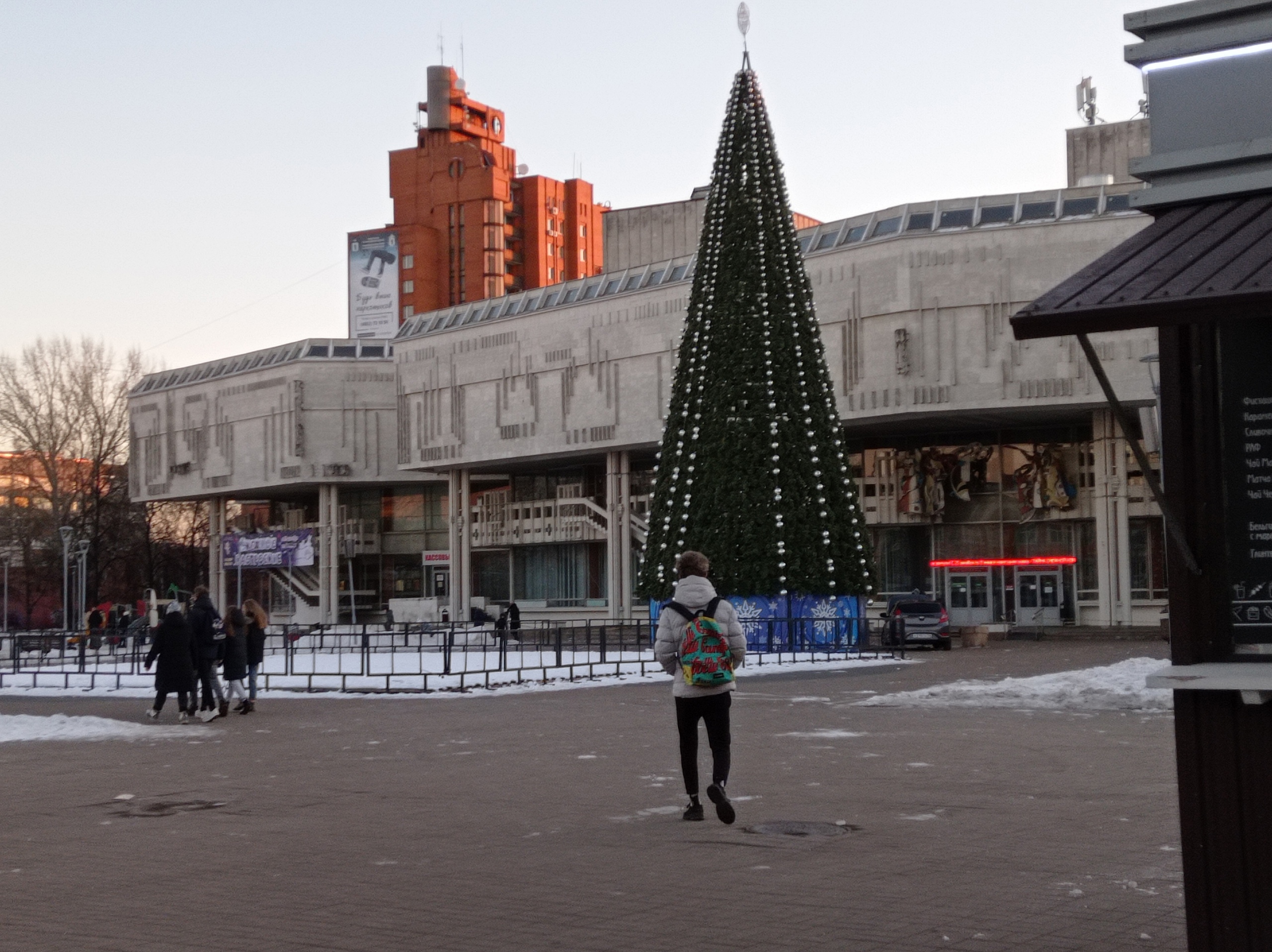 Центральные площади Ярославля рискуют остаться без новогодних елок