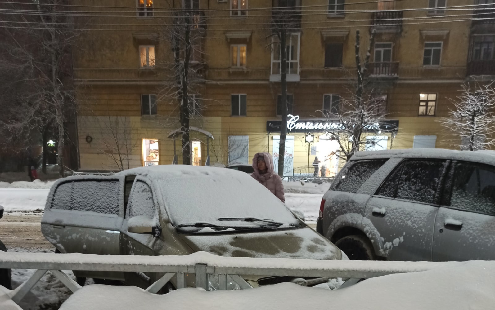  За сутки в Ярославле выпадет половина месячной нормы снега
