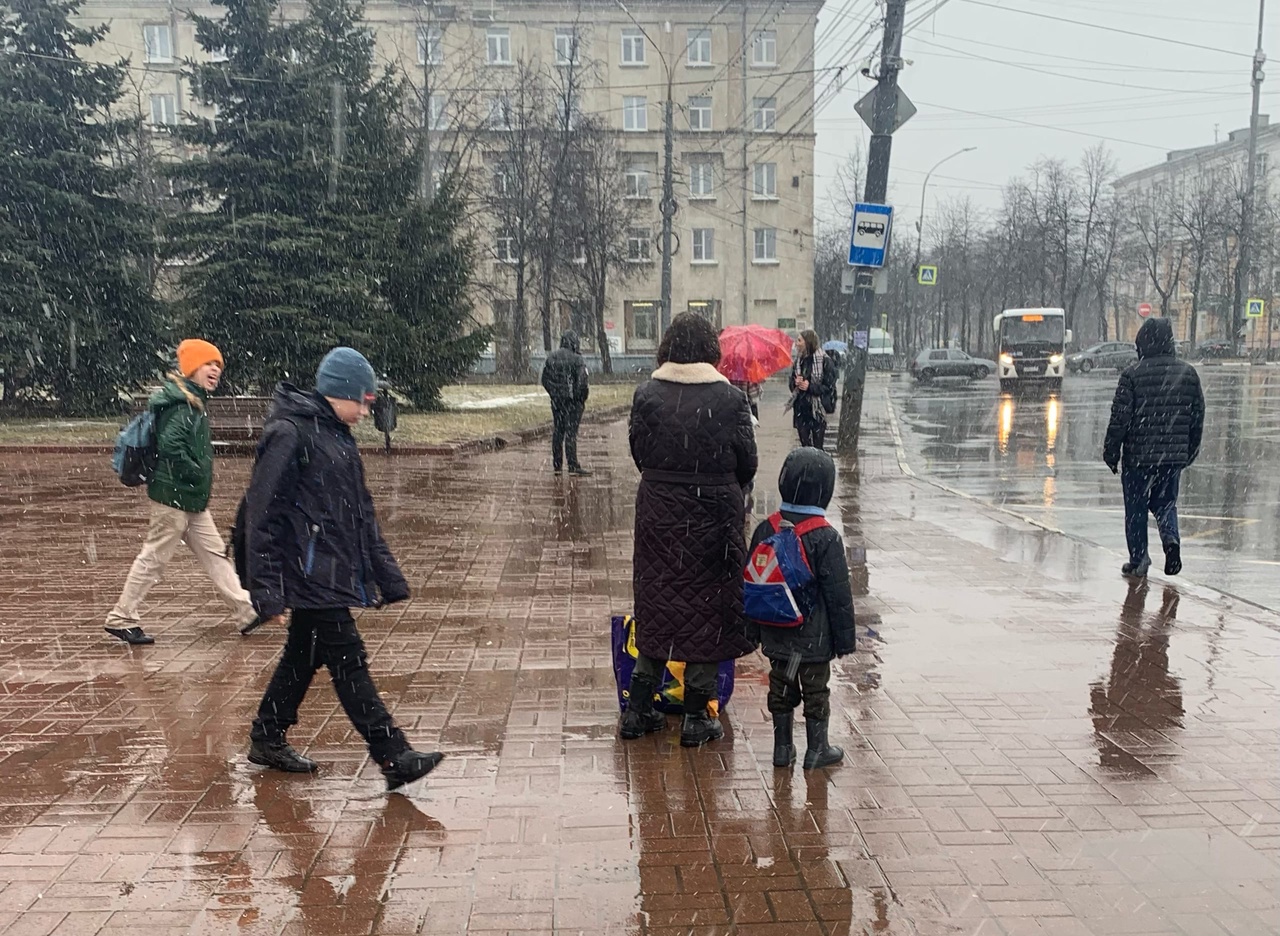 Дожди и плюсовая температура вернутся в Ярославль на этой неделе