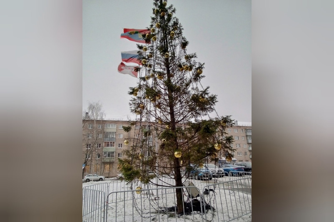 «Мама, что с ней? Коронавирус?»: в Ярославской области нарядили елку-позорище