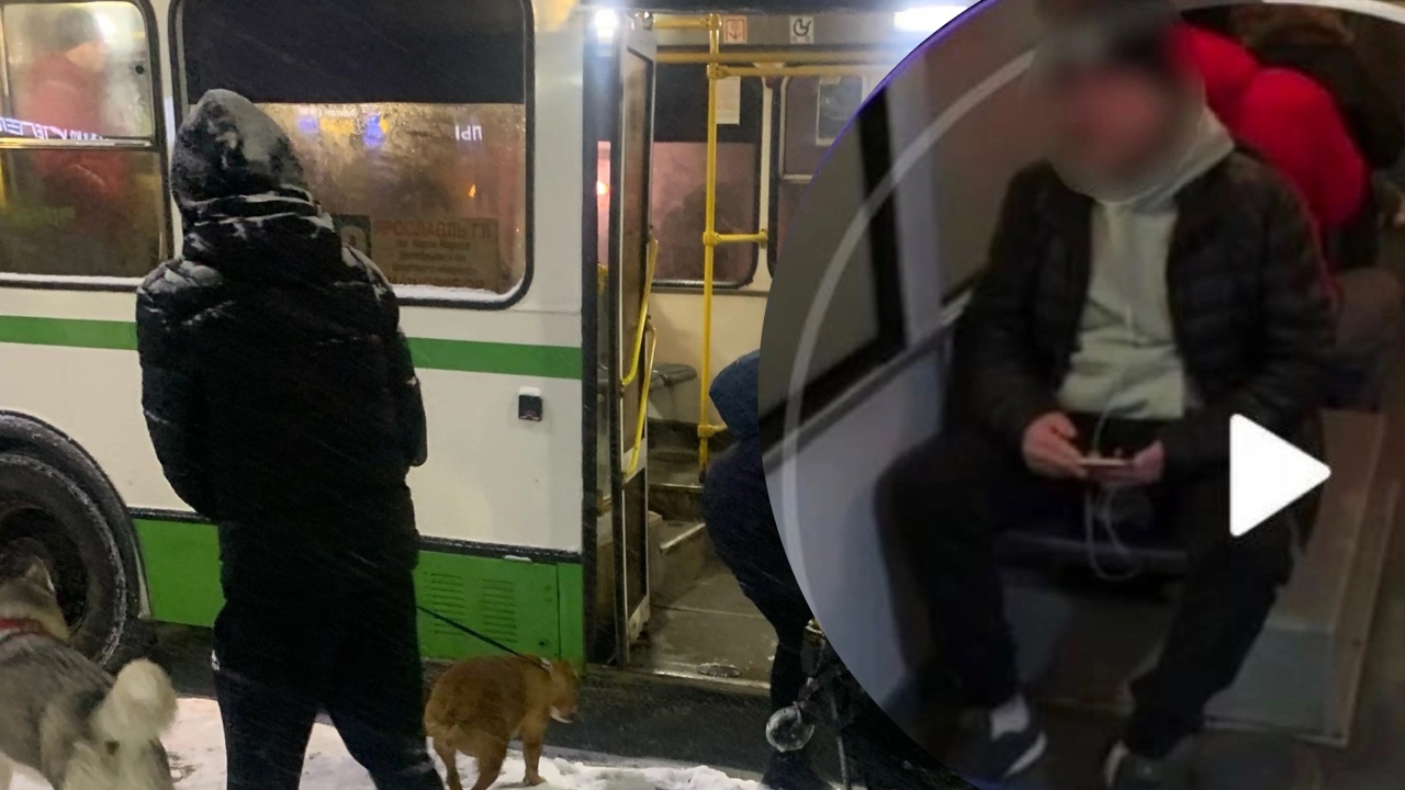 "Довела его": ярославцы заступились за напавшего в автобусе на девочку мужчину