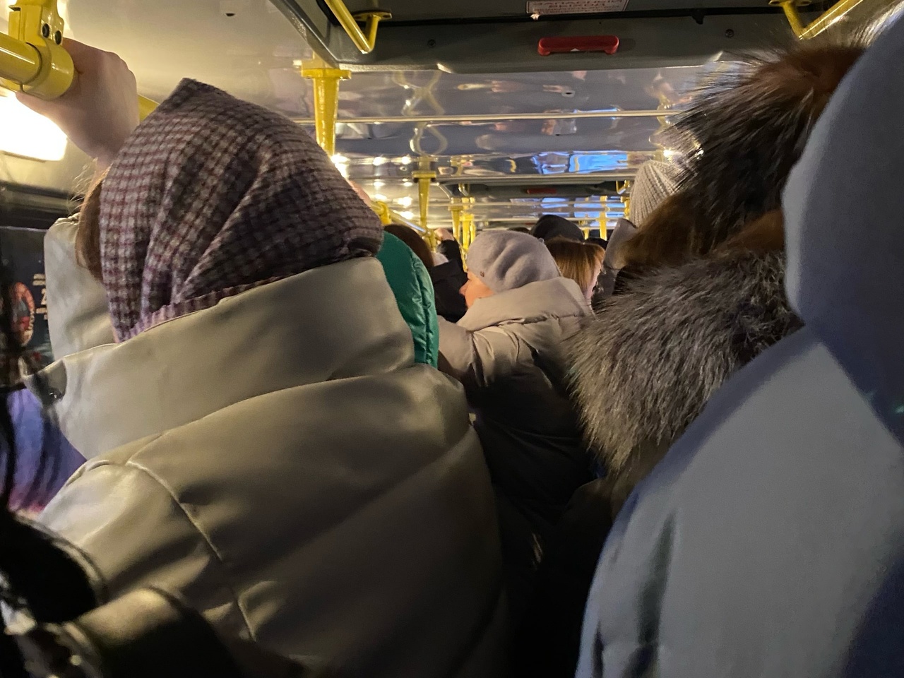 "Носом и зубами влетела в стекло": в Ярославле разгорелся скандал из-за водителя автобуса 