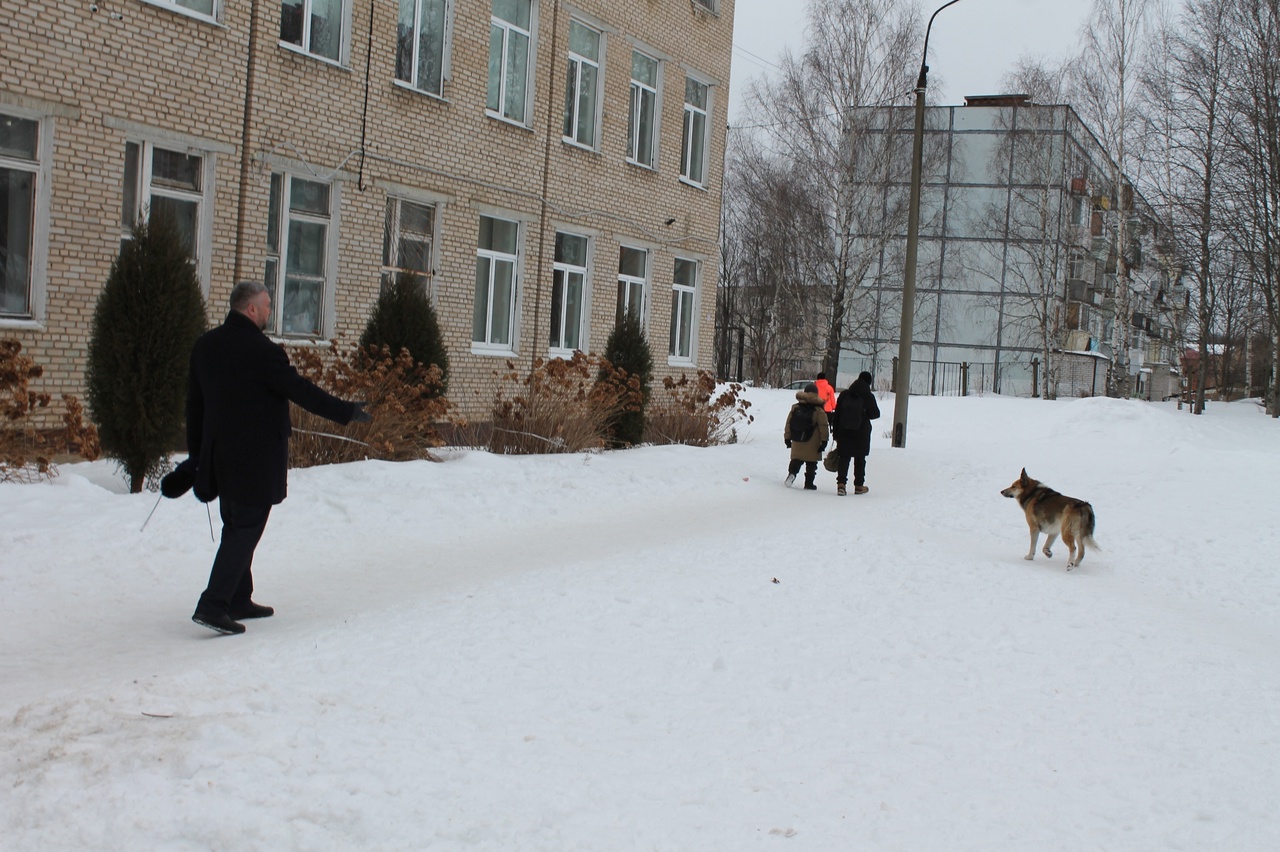 Под Ярославлем бродячая собака напала на школьника во время урока физкультуры 