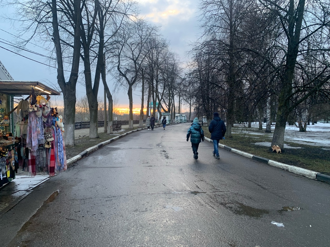Резкое похолодание в Ярославле сменится аномальным теплом 