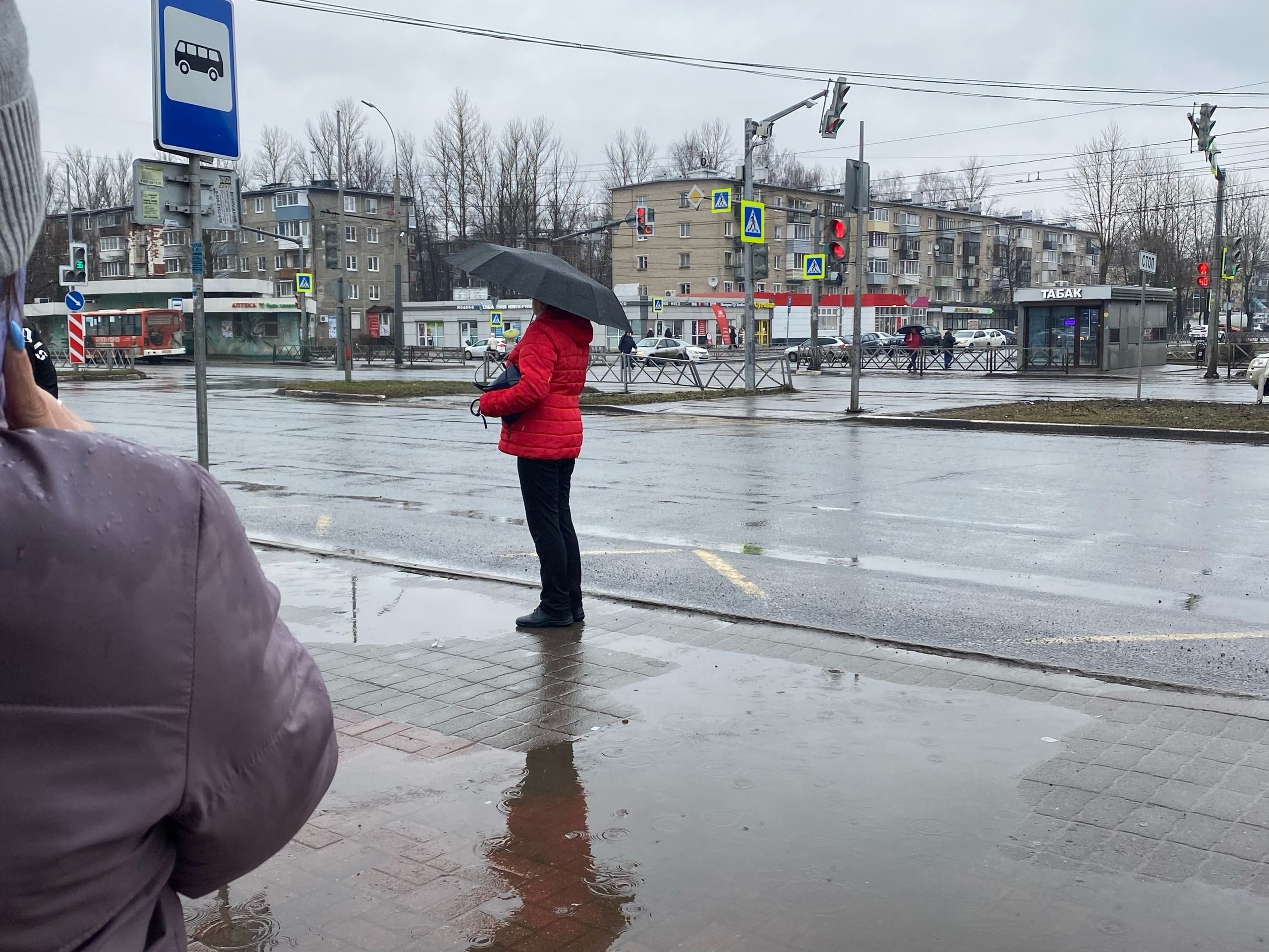 После аномального потепления в Ярославль вернутся ливни и похолодание