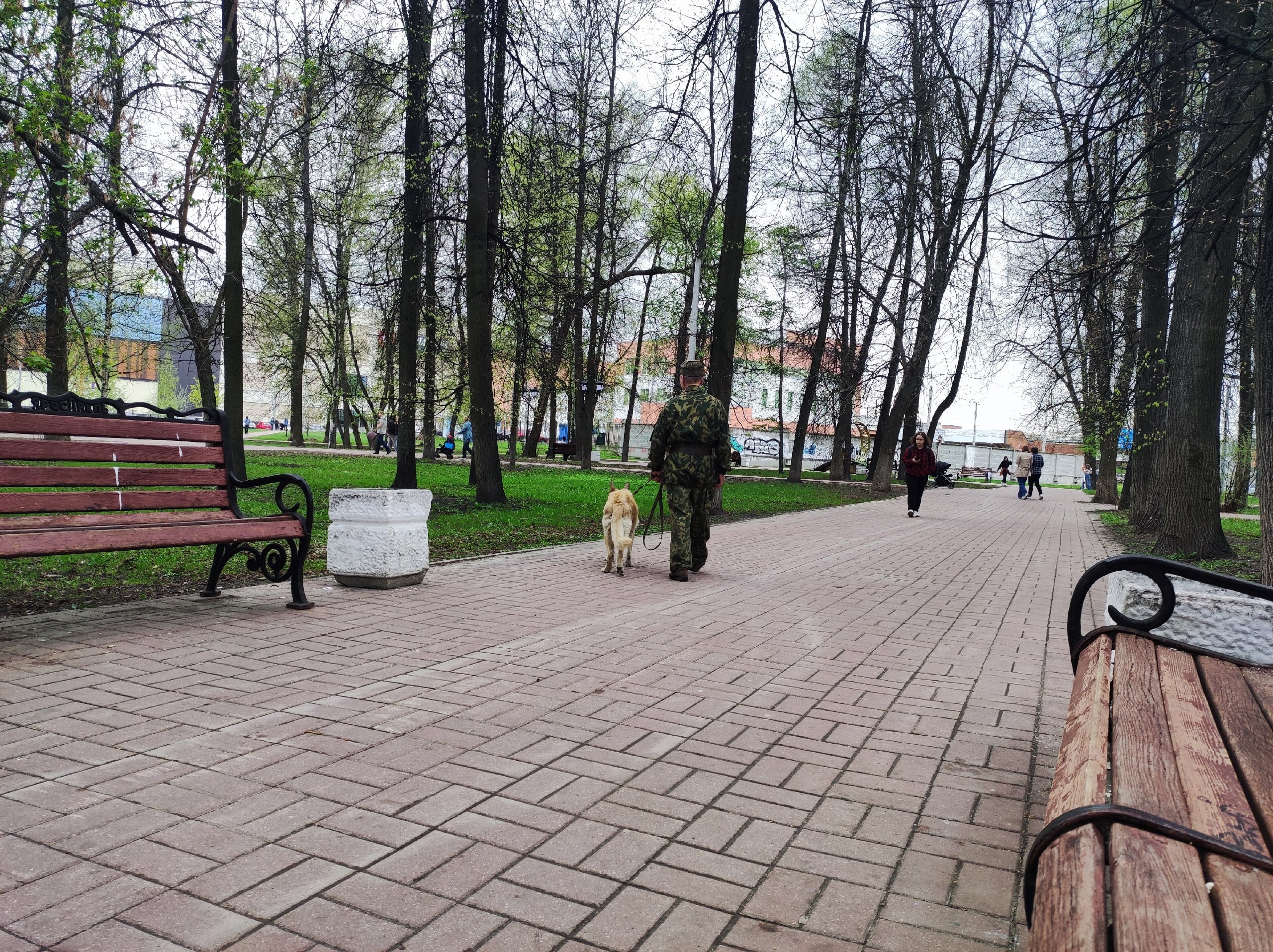 В Юбилейном парке Ярославля уничтожат 69 деревьев