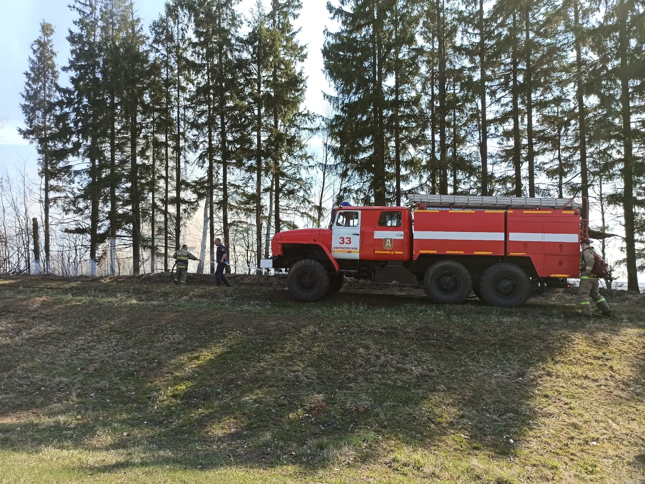 Михаил Евраев рассказал о камерах видеонаблюдения для мониторинга за лесными пожарами 